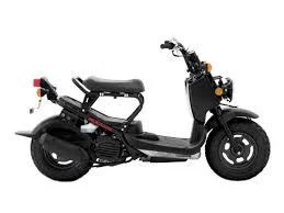 2019 Honda Ruckus