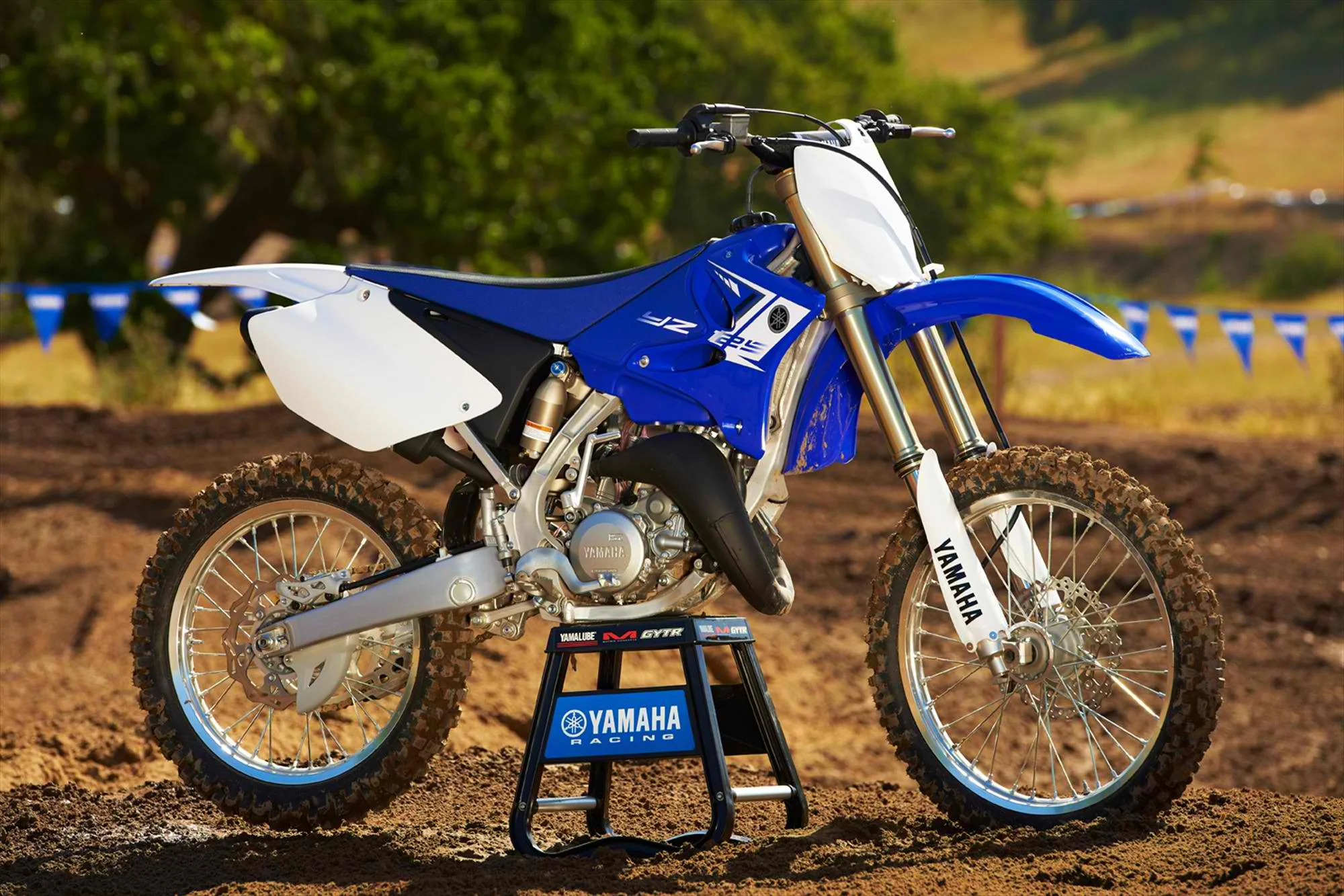2013 Yamaha YZ125