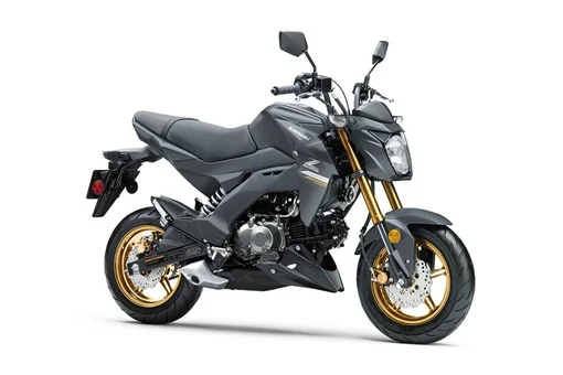 2024 Kawasaki Z125 Pro
