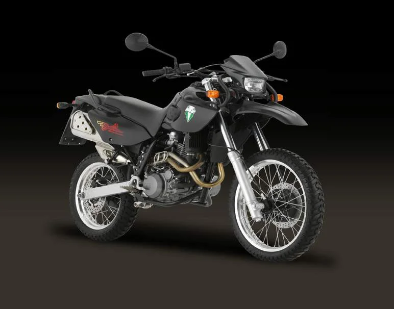 2001 MZ Baghira Forest