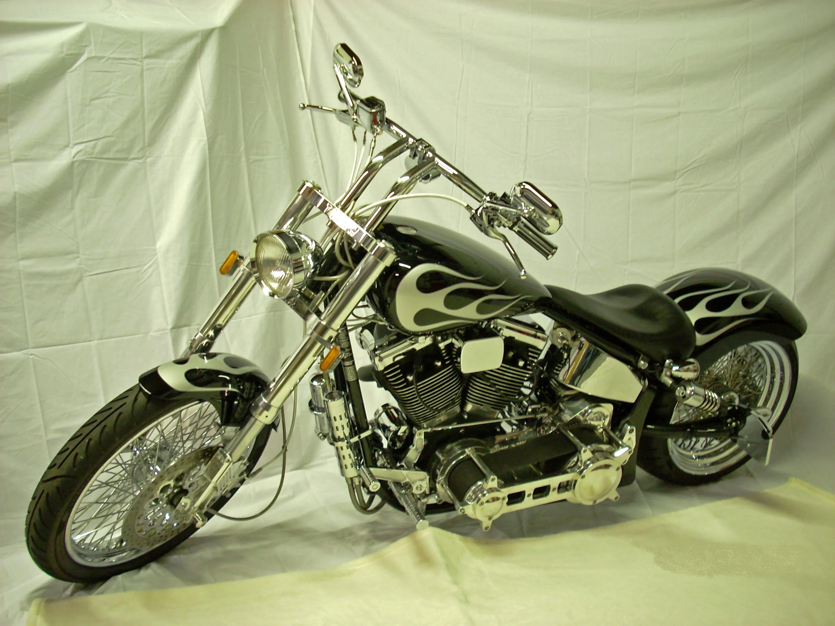 2000 Titan Gecko