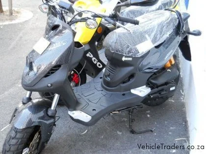 2011 PGO PMX 110