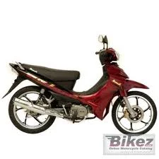 2011 Demak MV