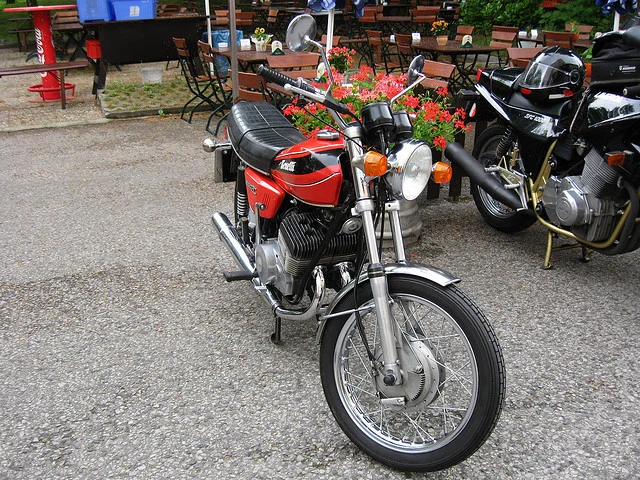 1986 Benelli 250 2 C
