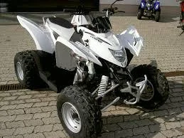 2010 Aeon Cobra 320