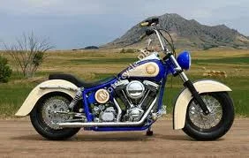 2010 Sucker Punch Sallys Swinger