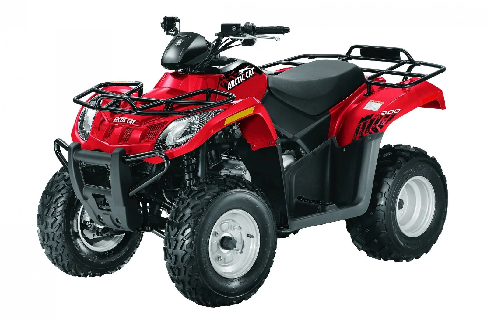 2010 Arctic Cat 300