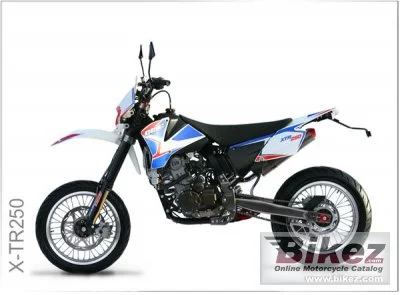 2010 CCM X-TR250