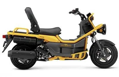 2004 Honda Ruckus