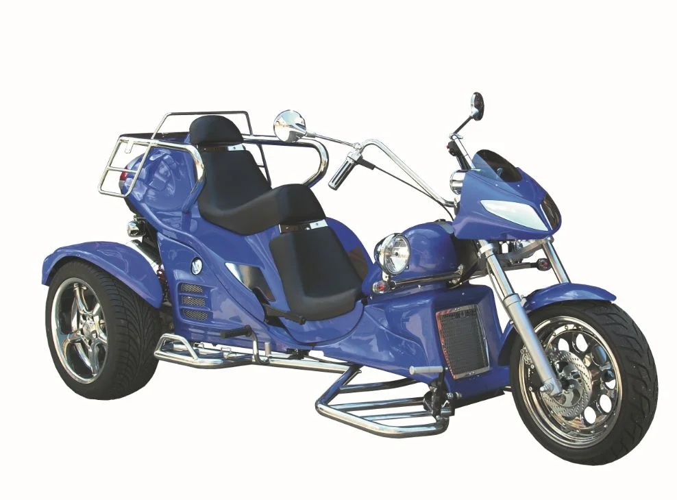 2010 Boom Trikes Fun 500 Basic