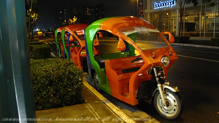 2009 Adly e-Bike Fun Cruiser