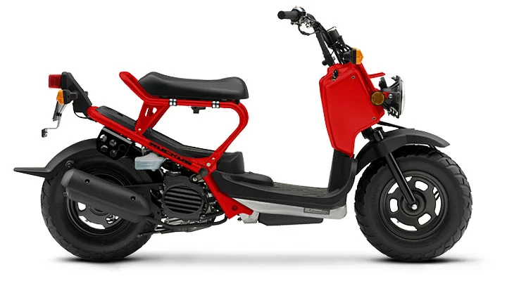 2009 Honda Ruckus