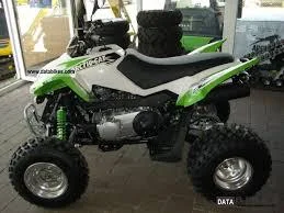 2011 Arctic Cat 300 DVX