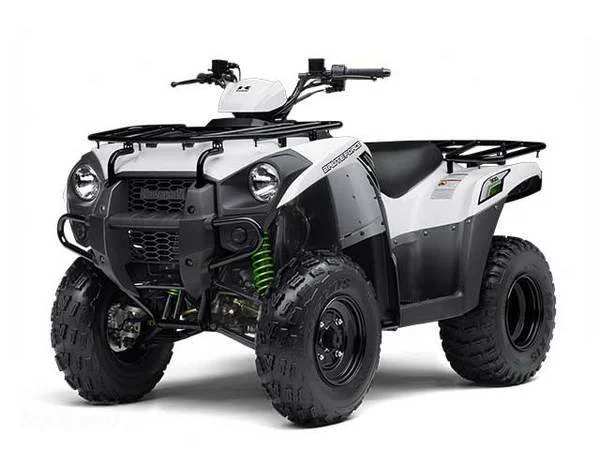 2015 Kawasaki Brute Force 300