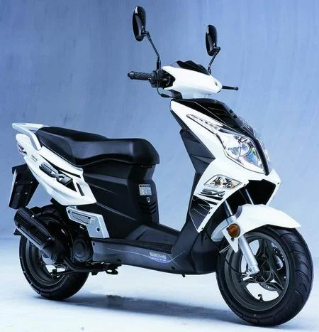 2008 Sachs SX1