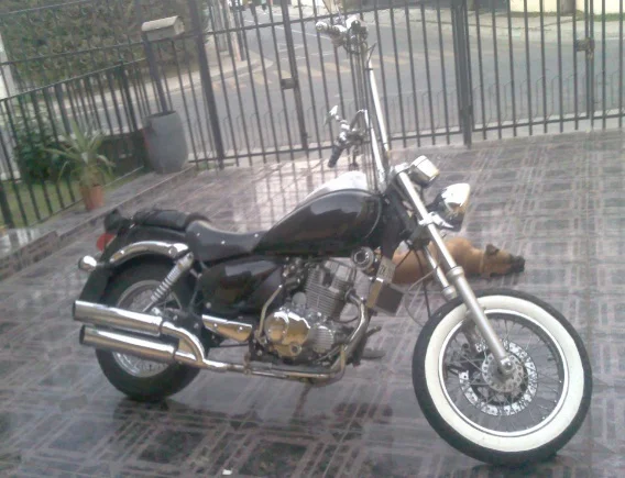 2010 UM Renegade 150 LE