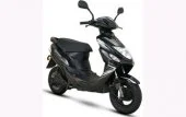 2010 Giantco e-Buddy