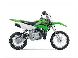 2020 Kawasaki KLX 110L