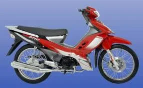2012 Nipponia Brio 110
