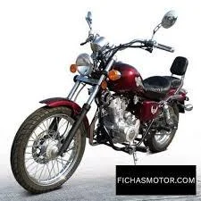 2016 DF Motor DF250RTD