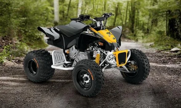 2014 Can-Am DS X 90