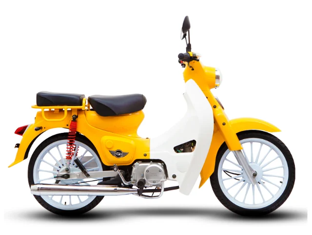 2020 Demak Eco 110