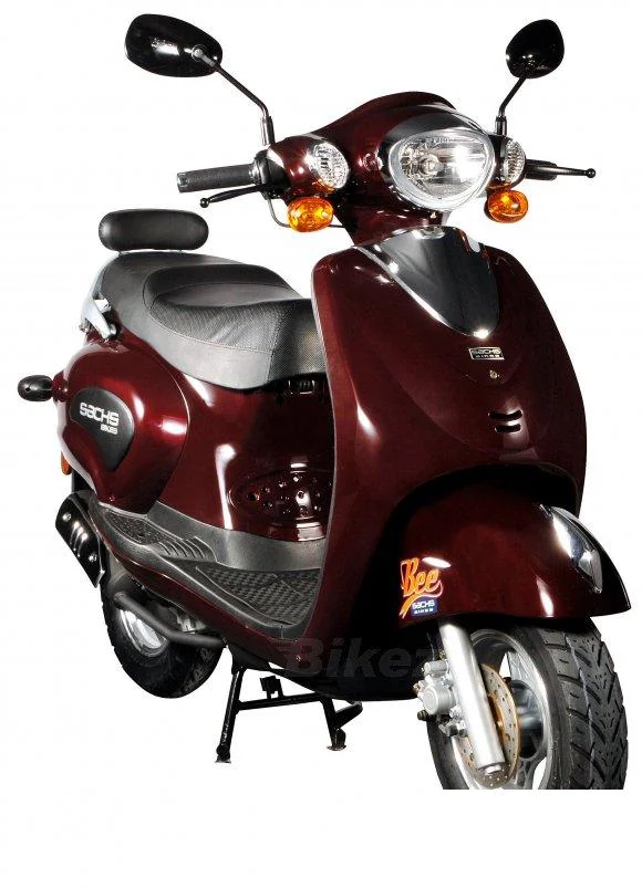 2008 Sachs Bee (funky)