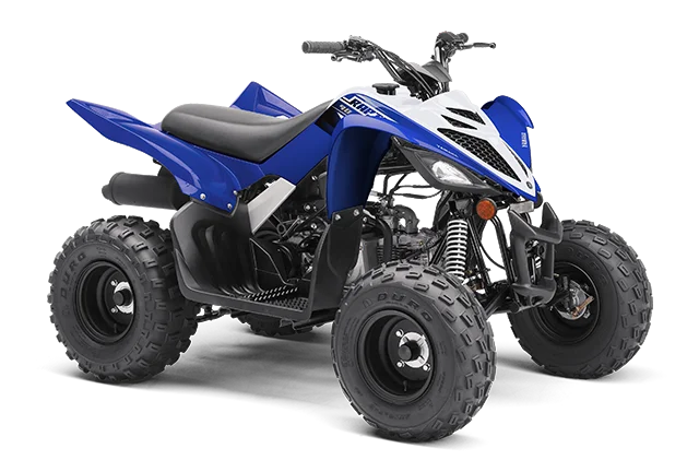 2019 Yamaha YFM90