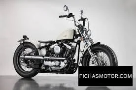 2013 Road Hopper 1i