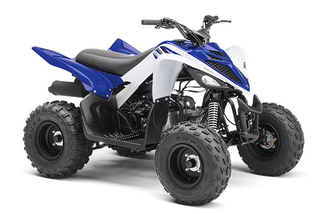 2018 Yamaha Raptor 90