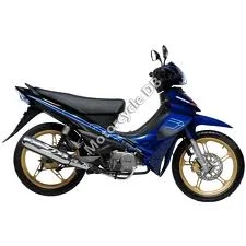 2011 Demak MS