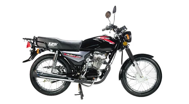 2020 Skygo Prince 125