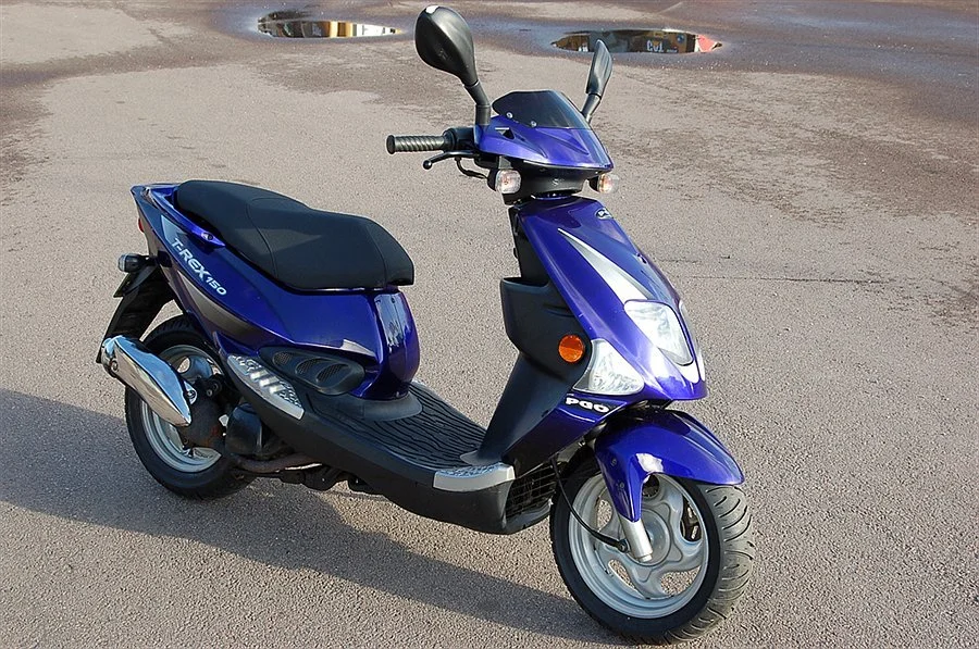 2006 PGO T-Rex 150
