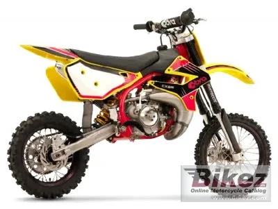 2009 Cobra CX65 Super Moto