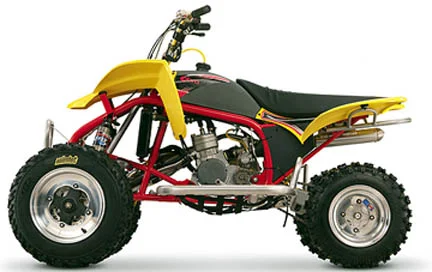 2010 Cobra ECX70