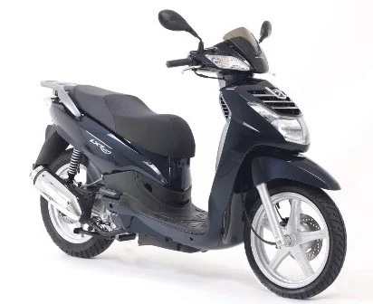 2010 Peugeot LXR