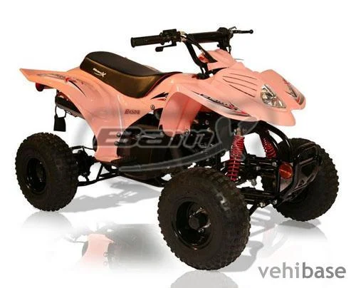 2010 BamX BX50-S Side Kick