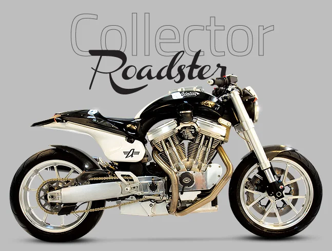 2013 Avinton Collector Roadster
