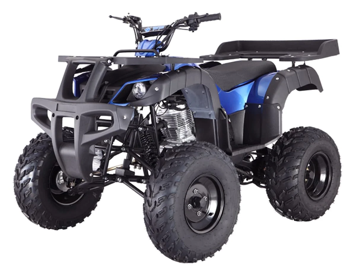 2022 Tao Motor Rhino 250
