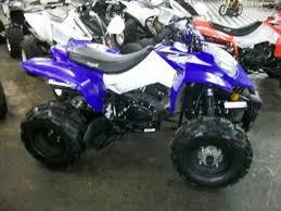 2010 BamX BX200-S1 Assault