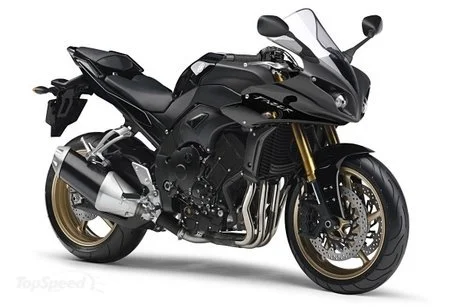 2011 Yamaha FZ1