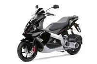 2008 Derbi GP1 125 Racing