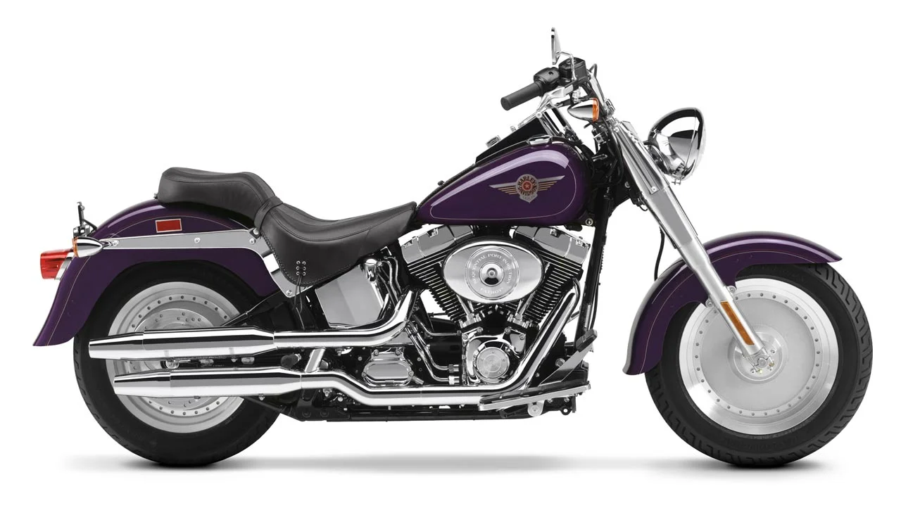 2002 Harley-Davidson FLSTF Fat Boy