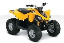 2010 Can-Am DS 70