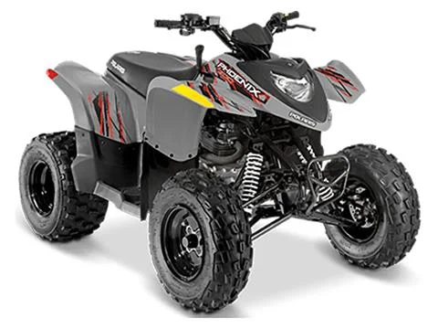 2021 Polaris Phoenix 200