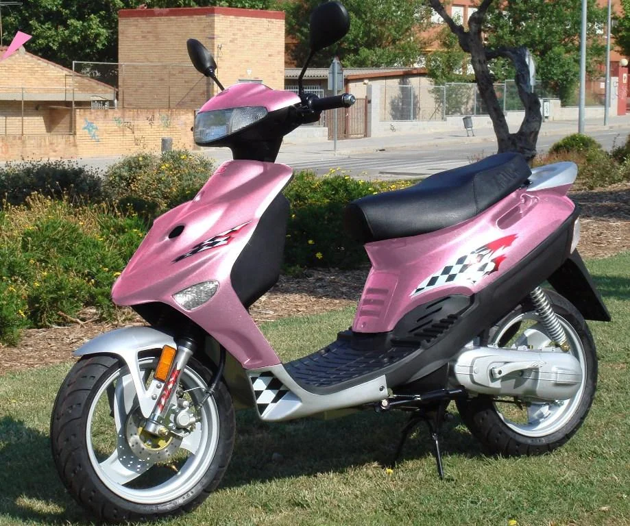 2008 Adly Silver Fox 50