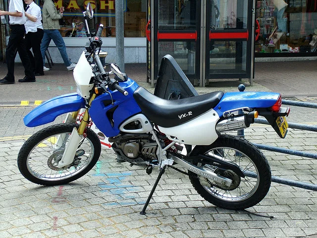 2010 BamX BX125 DB2 Renegade
