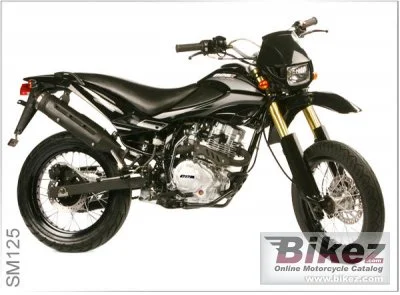 2010 CCM SM125