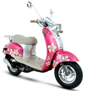 2009 Giantco Venus I