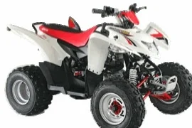 2019 Aeon Cobra 220